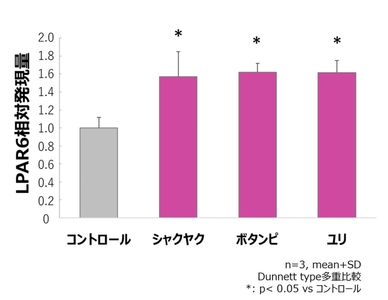 図7．毛包上皮細胞におけるシャクヤク、ボタンピ、ユリの抽出エキスのLPAR6発現促進作用