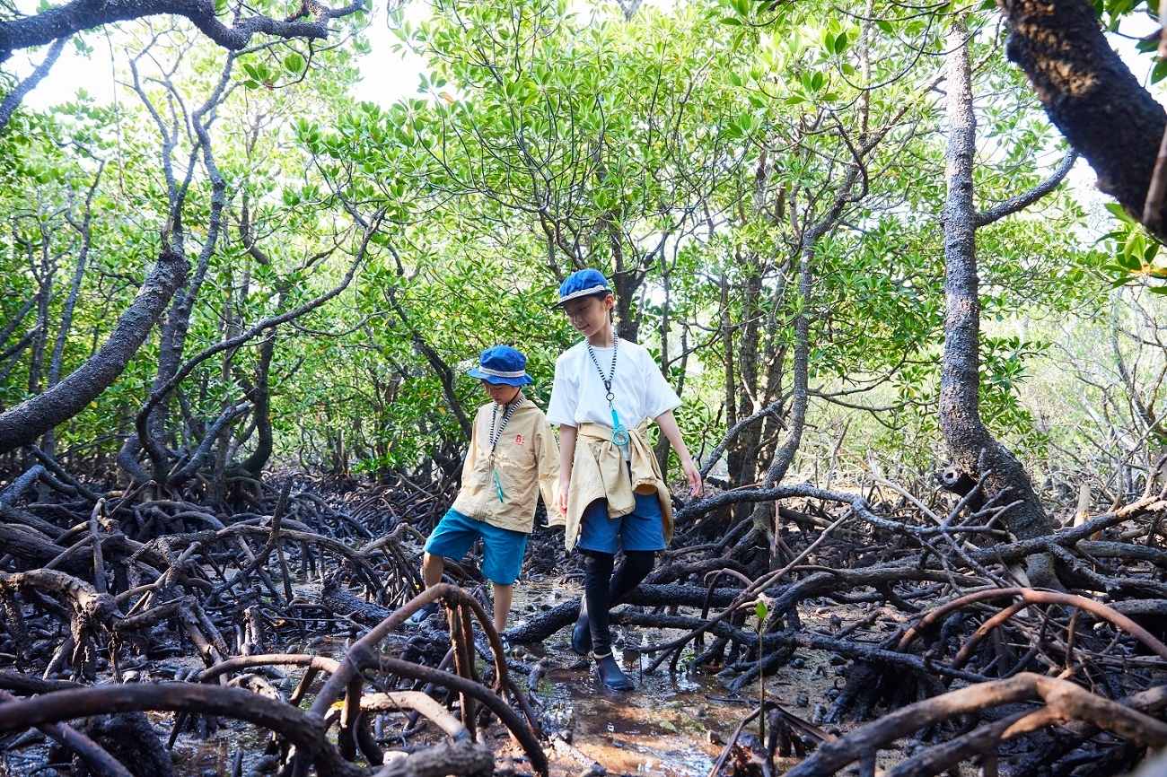 【西表島ホテル】日本でここだけ!7種すべてのマングローブ植物を調査する自由研究プログラム「マングローブ博士」を開催 ~調査計画を立て、水中観察を含むフィールドワークへ~|期間: 2023年7月1日~8月31日