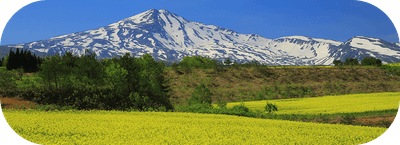 Pdi6yi8TkrEj88jA59DA.png?w=940&h=940