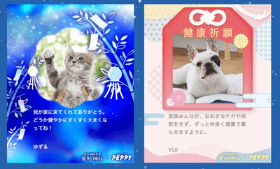 Pdvvbhd0QKiyZwcrxueW.png?w=940&h=940