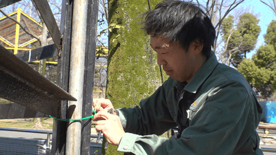 PdzAWLn5ZmQnAthYojsF.png?w=940&h=940