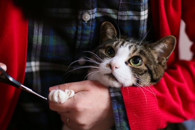 ※コラム内の記事、写真等の転載はご遠慮ください。