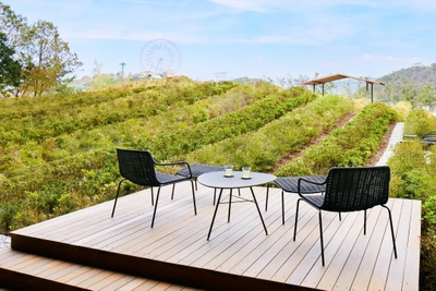 PhDdh0mtKo9UoL9DmpKh.jpg?w=940&h=940