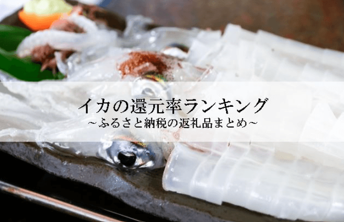 【2026年7月版】ふるさと納税でもらえる『イカ』の還元率ランキングを発表
