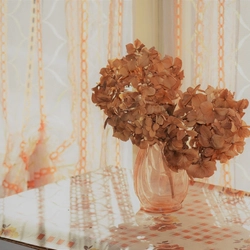 インテリアに大人気！でも風水的にNG？──今話題の「ドライフラワー問題」を検証