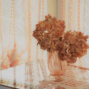 Phok4b1gRzaoWbVNQFod.jpg?w=940&h=940