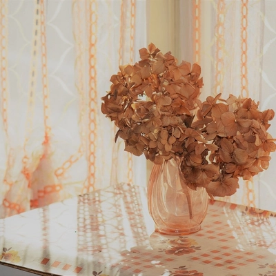 インテリアに大人気！でも風水的にNG？──今話題の「ドライフラワー問題」を検証