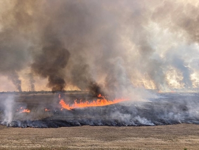 Pin3XlpZFA8calsi1DJj.jpg?w=940&h=940