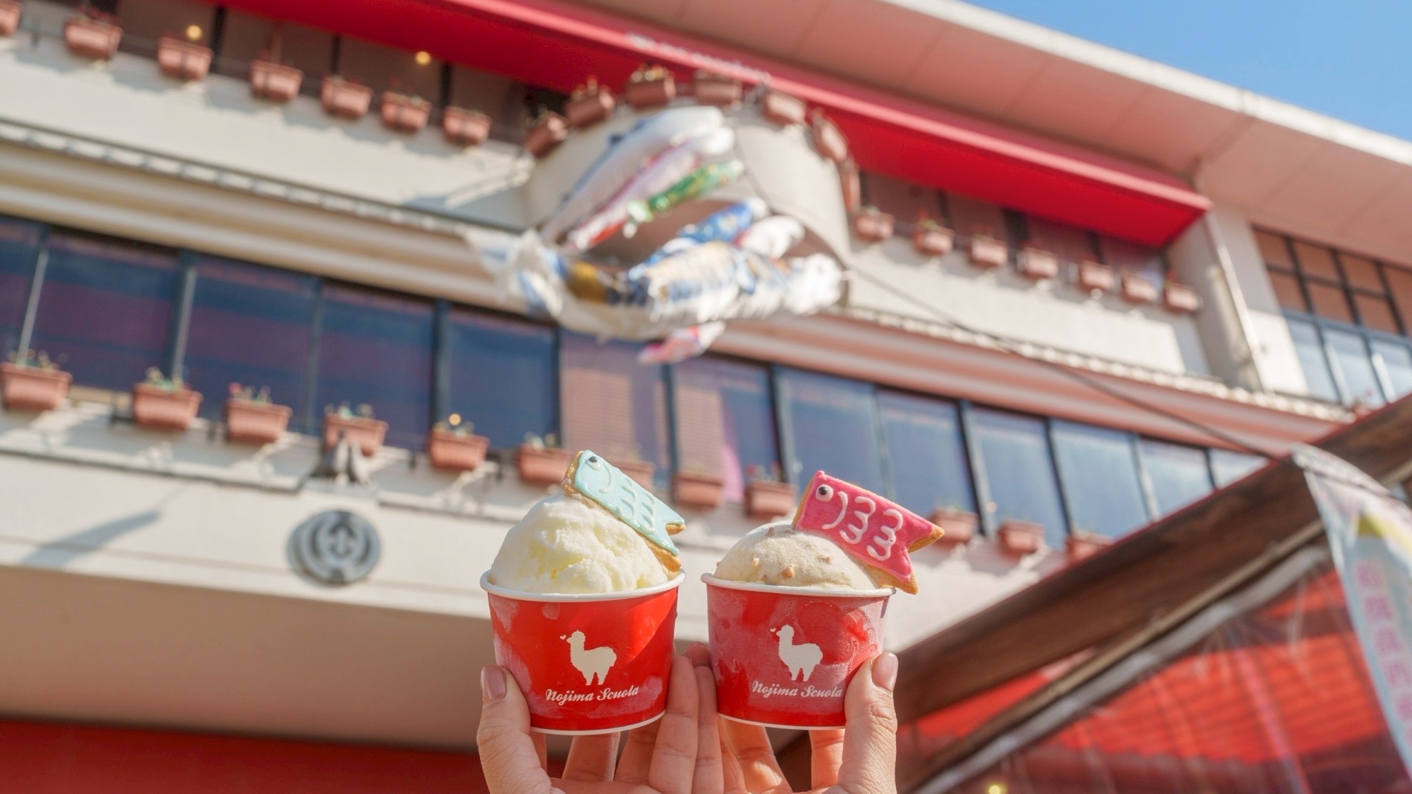 【GW限定】 家族で楽しむ春の思い出づくり! 淡路島西海岸「のじまスコーラ」約40旒の鯉のぼりが大集合!