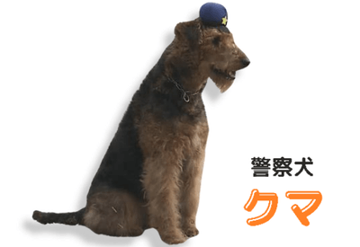 PjByARNrI0b3KaqYHyuU.png?w=940&h=940