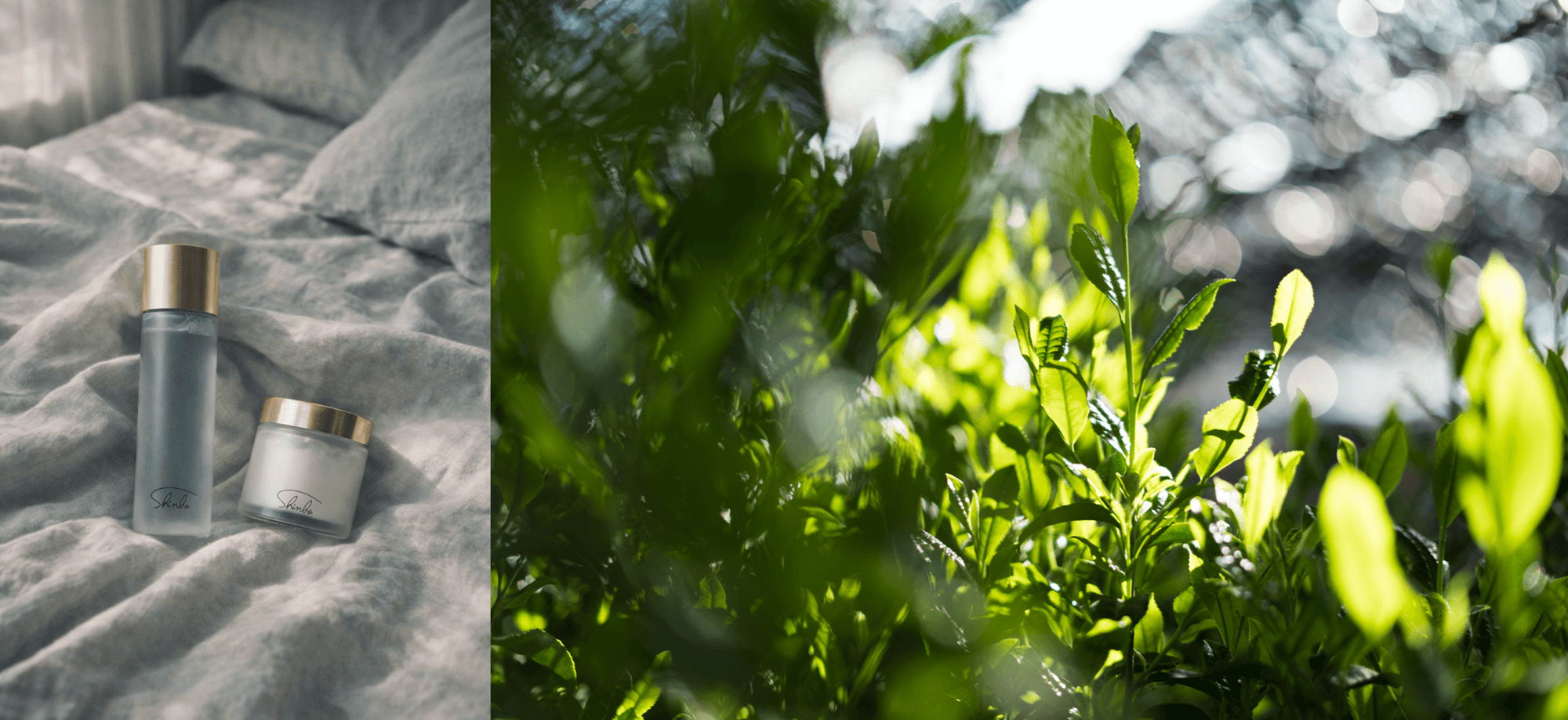  江戸時代より続く京都・宇治の茶農家が仕掛ける
新しいライフスタイル
