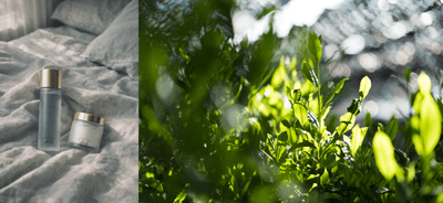 Pk1HMlawvWx5CXghWb77.png?w=940&h=940