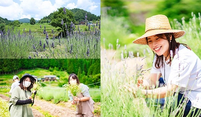 ＜6/28(土)＞化粧品原料を有機栽培する体験・キャンプ施設で スキンケア原料の『ハーブ収穫体験会』を開催