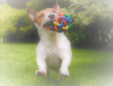 PkjxtWW5fXM2hyIjhHJo.jpeg?w=940&h=940