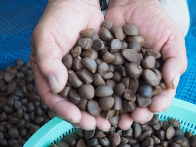 Pm94Hw8zl80CjMuzzaTc.jpg?w=940&h=940