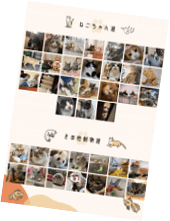 PmDNSvVhD796uFk8W4v4.png?w=940&h=940