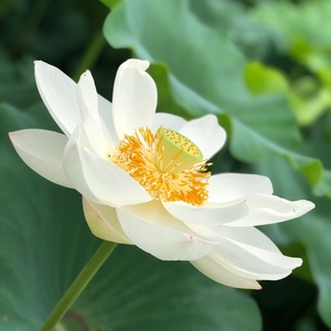 PoP2lbq1JcCsrQlxowmm.jpg?w=940&h=940