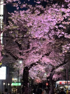 PorhcBLJz7Gwr90Ilow2.jpg?w=940&h=940