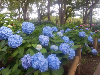 Pp8M3cpgLY4MxyHj9pCT.JPG?w=940&h=940