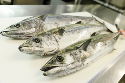 PrC8010fADKUnV4SThDh.jpg?w=940&h=940