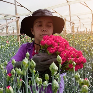 PrgxK4m7cj8dfgiiPfOO.jpg?w=940&h=940