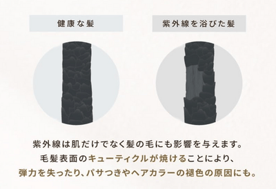 Przt5F0k49rRwxU1VRJJ.png?w=940&h=940