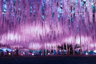 Ps81dLKdqmXHiPSoAtj4.jpeg?w=940&h=940