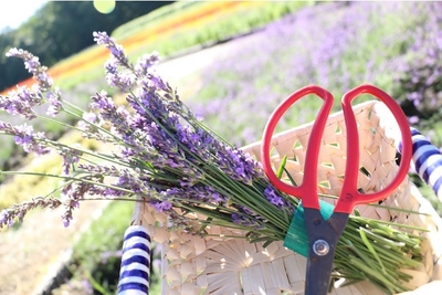 Psca90d75FbvQTW68knI.jpg?w=940&h=940