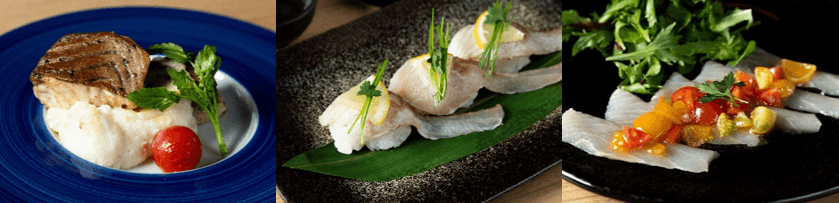 近大産チョウザメのバターソテー(左)、近大産チョウザメの炙り寿司(中)、近大産チョウザメのカルパッチョぶどう山椒オリーブオイル(右)