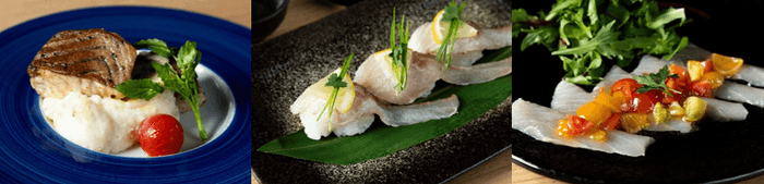 近大産チョウザメのバターソテー(左)、近大産チョウザメの炙り寿司(中)、近大産チョウザメのカルパッチョぶどう山椒オリーブオイル(右)