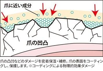 PtB0w5jl4X3et5K3XRvU.jpg?w=940&h=940