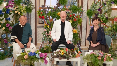 PtJ7LHBaZvYUKNS8h8pw.jpg?w=940&h=940