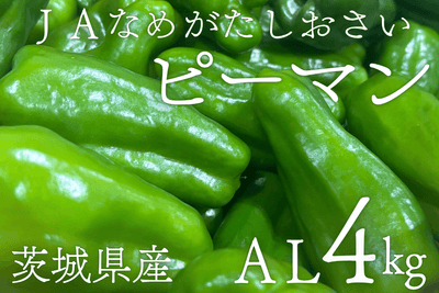 PuCk044ZGMZpMO9gmkXD.png?w=940&h=940