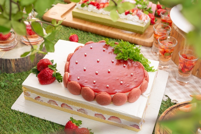 大きな苺のケーキ