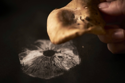 Pvz6M8Zm7iATiK7QC6fW.jpg?w=940&h=940