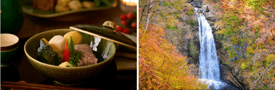 PwWFBVMeWuqrqGutl0tD.png?w=940&h=940