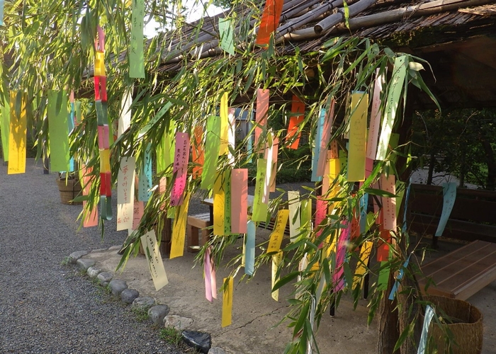 七夕飾り(過年度の様子:小石川後楽園)