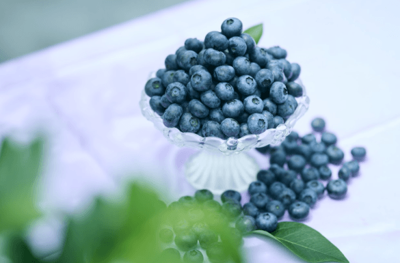 那須高原の豊かな恵み