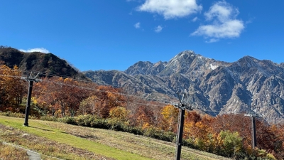 PyMbeh4hIiXolFjhTmUS.jpg?w=940&h=940