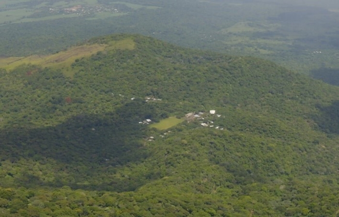 エルサルバドルのコーヒー農園