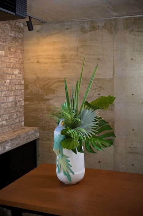 GREEN × ベース(コンゴウインコ)