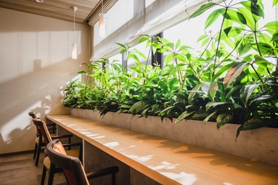 Q2oj9gYMVLc3FC5af2BN.jpg?w=940&h=940