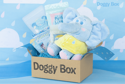 Doggy Box　※イメージ