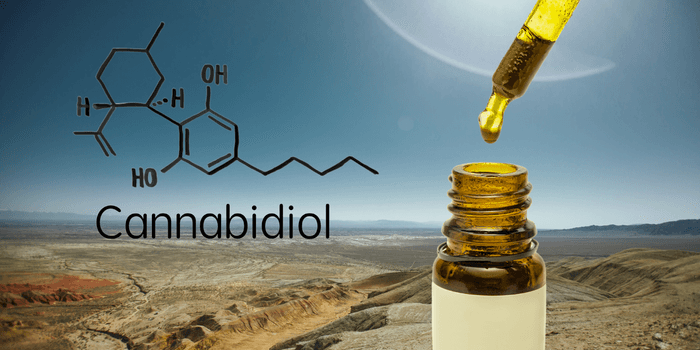 日本でも合法的に認められているCBDは、購入も所持も使用もOK!