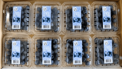 Q75DFWzXdqxHQAM5slgy.png?w=940&h=940