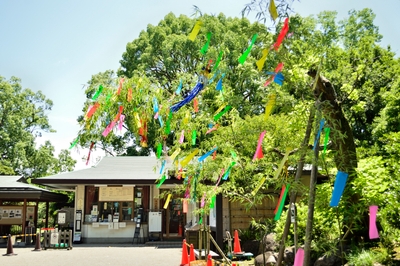 過去の清澄庭園の様子