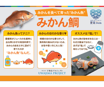 Q7Veuhngc9F31HptujMM.png?w=940&h=940