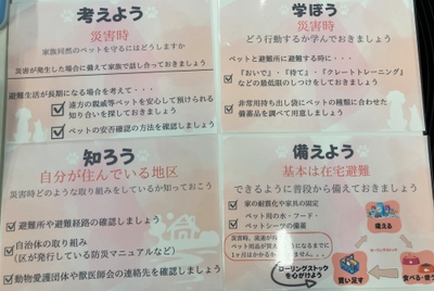 Q7ohUP3K7UY6eLaL06dD.jpg?w=940&h=940