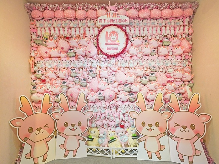 ぬいぐるみの壁