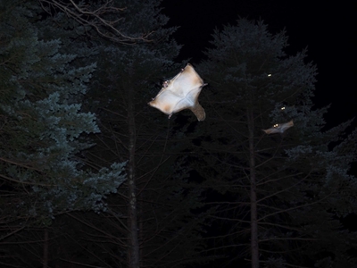 QBDv4RKXMhvhGxf2vQ2x.jpg?w=940&h=940